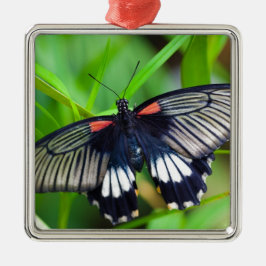 Schöne schwarze, weiße und rote Schmetterlinge Ornament Aus Metall