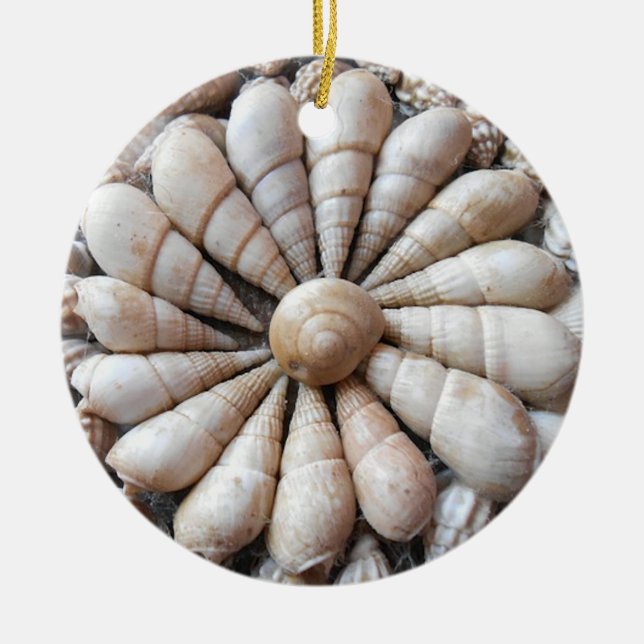 Schöne Seashell-Rundschreiben-Verzierung Keramik Ornament (Vorne)