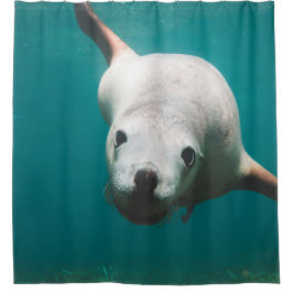 Schöne Seelöwe Duschvorhang