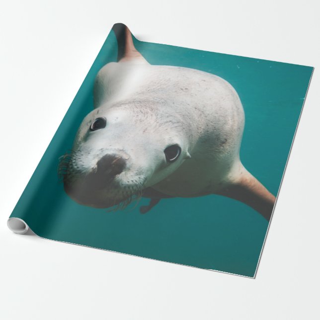 Schöne Seelöwe Geschenkpapier (Ungerollt)