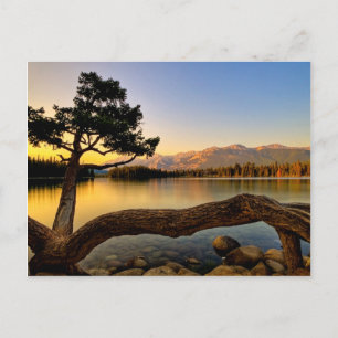 Schöne Seepostkarte Postkarte