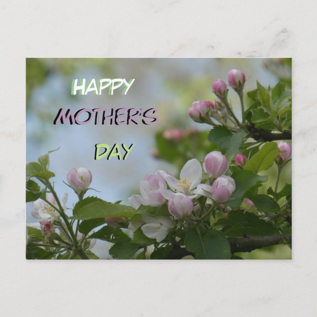Schöne serene Blüten Muttertag Postkarte (Vorderseite)