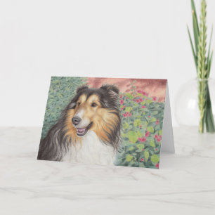 Schöne Sheltie Karte