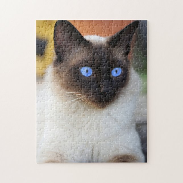 Schöne Siamese Cat Kitten (Vertikal)