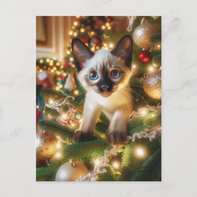 Schöne siamesische Kätzchen in einem Weihnachtsbau Postkarte (Vorderseite)