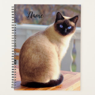 Schöne siamesische Katze mit blauen Augen Planer