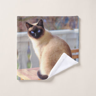 Schöne siamesische Katze mit blauen Augen Waschlappen
