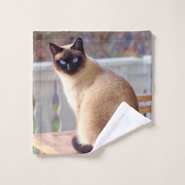 Schöne siamesische Katze mit blauen Augen Waschlappen (Waschlappen)