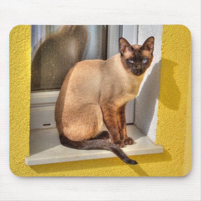 Schöne siamesische Katze Mousepad (Vorne)