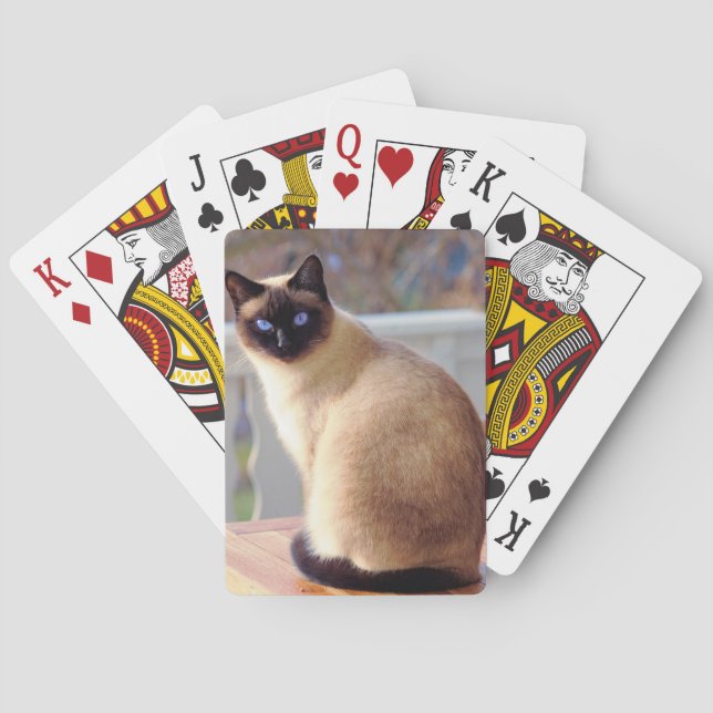 Schöne Siamkatze mit blauen Augen Spielkarten (Rückseite)