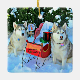 Schöne sibirische Huskies Keramikornament