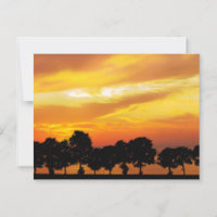 Schöne Silhouette Sonnenuntergang