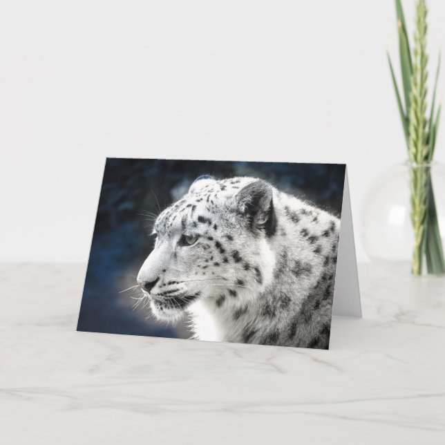 Schöne Snow Leopard-Grußkarte Karte (Vorderseite)