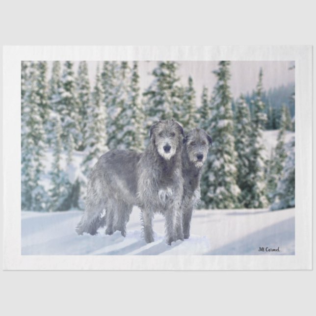 Schöne Snowy Irish Wolfhound-Szene Seidenpapier (Vorderseite)