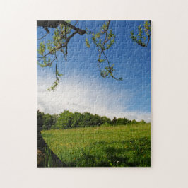 Schöne Sommerlandschaft Alp Wiese