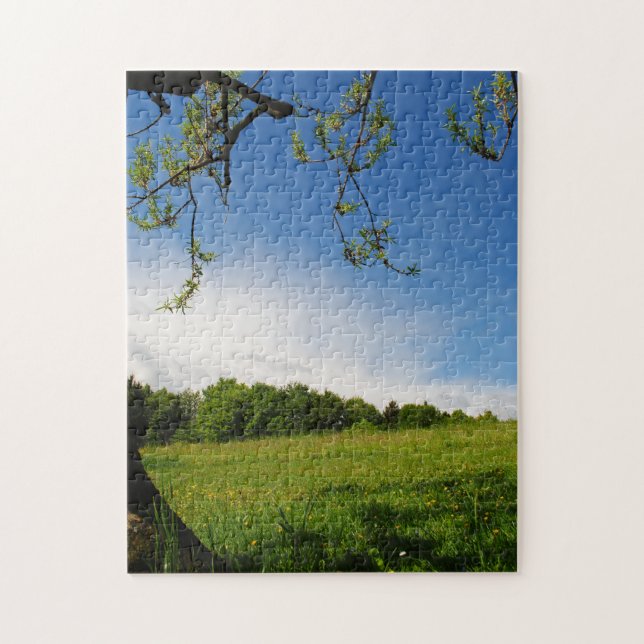 Schöne Sommerlandschaft Alp Wiese (Vertikal)