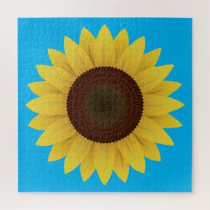 Schöne Sommersonnenblume