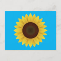 Schöne Sommersonnenblume