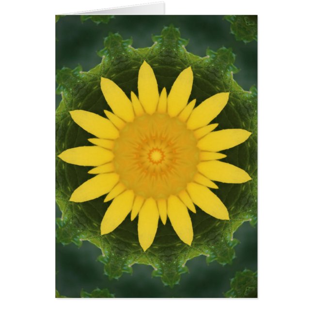 Schöne Sonnenblume (Vorne)