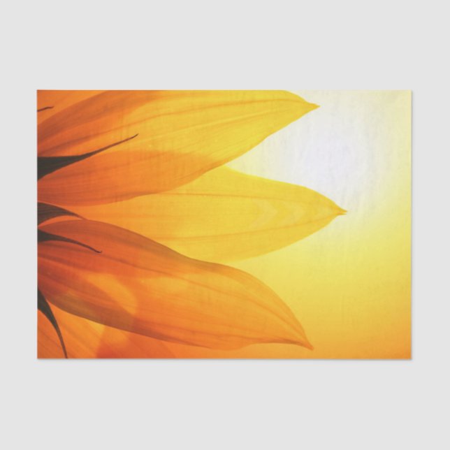 Schöne Sonnenblume - Gewebepapier Seidenpapier (Vorderseite)