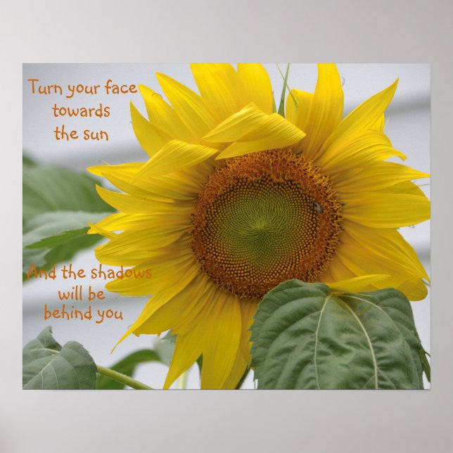Schöne Sonnenblume Motivierend Poster (Vorne)