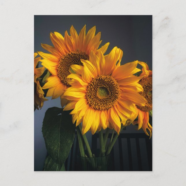 Schöne Sonnenblumen in Vase Postcard Postkarte (Vorderseite)