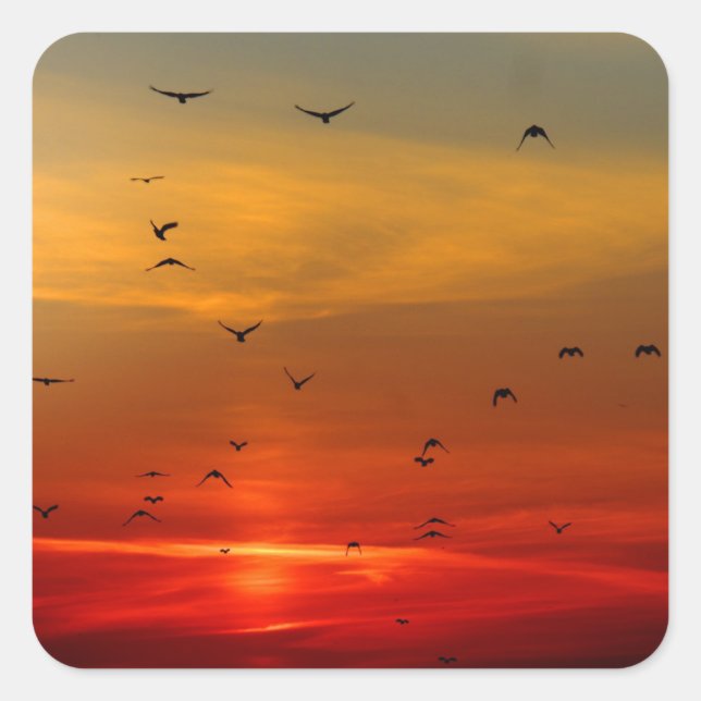 Schöne Sonnenuntergang Landschaftliche Landschaft  Quadratischer Aufkleber (Vorderseite)