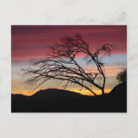 Schöne Sonnenuntergangpostkarte