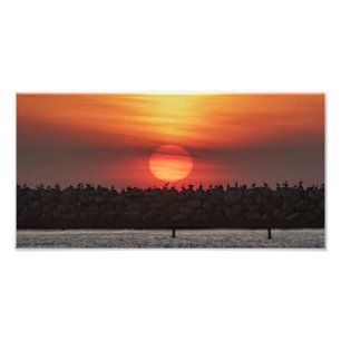 Schöne Sonnenuntergangsfarben - Marina Del Rey, CA Fotodruck