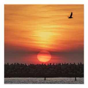 Schöne Sonnenuntergangsfarben - Marina Del Rey, CA Fotodruck