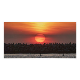 Schöne Sonnenuntergangsfarben - Marina Del Rey, CA Fotodruck