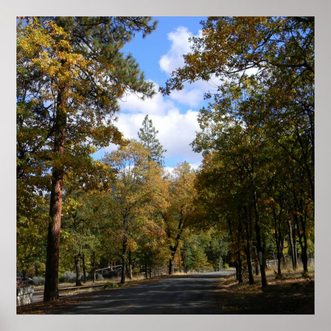 Schöne Stadt.. Poster (Vorne)