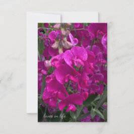 Schöne Strand Sweet Pea Mitteilungskarte