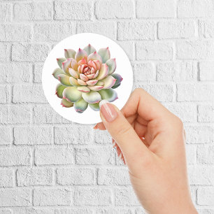 Schöne Sukkuline Blume Wasserfarbe Runder Aufkleber
