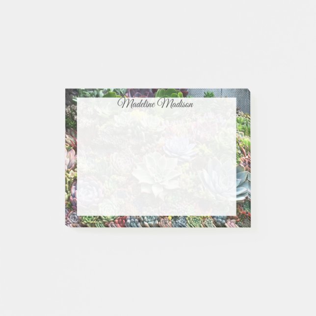 Schöne Sukkulturen Post-it Klebezettel (Vorderseite)