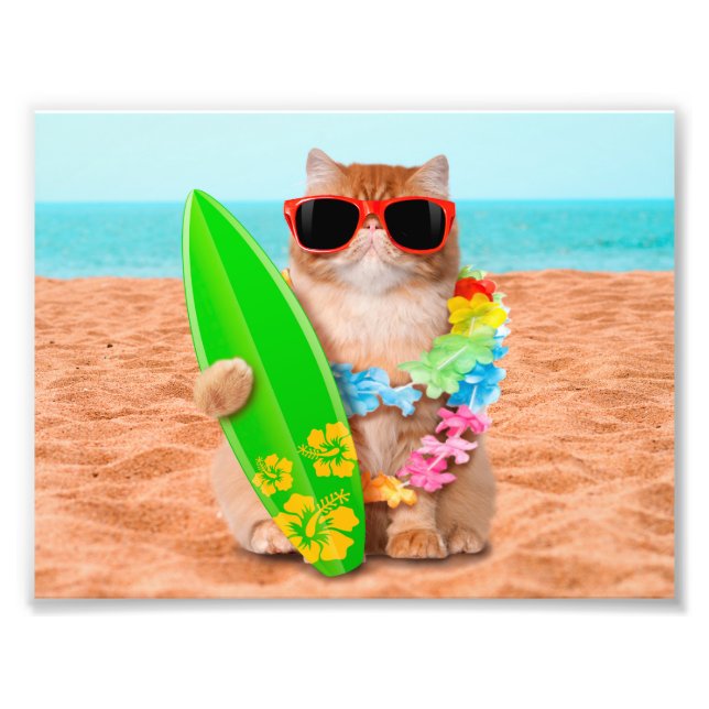 Schöne Surfer Katze am Strand Fotodruck (Vorne)