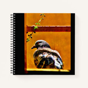 Schöne Taube Notizbuch