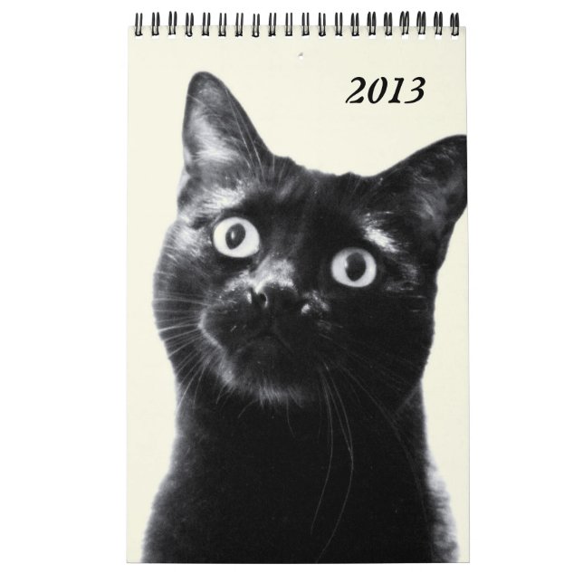 schöne Tiere - Kalender (Singleseite) (Titelbild)