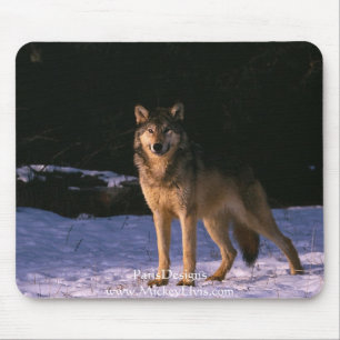 schöne Tiere vom wilden Mousepad