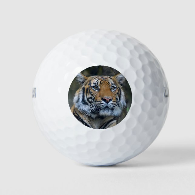 Schöne Tiger Golf Balls Golfball (Vorderseite)