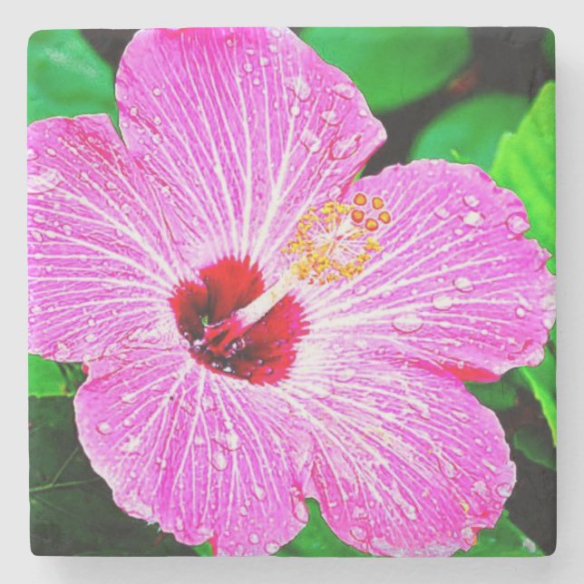 Schöne Tropische Blume Stone Untersetzer (Vorderseite)