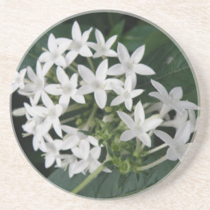 Schöne tropische Blume Untersetzer
