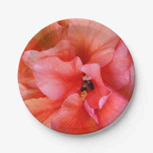 Schöne tropische Blumen-korallenrotes rosa orange Pappteller