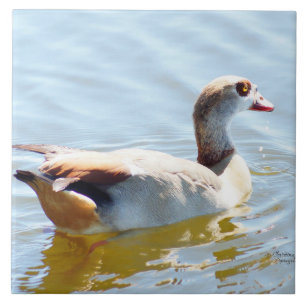 Schöne tropische Ente Tile Fliese