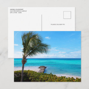 Schöne tropische Strandbrise Palme Postkarte