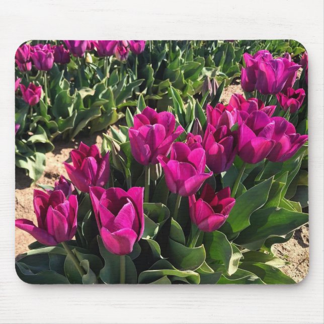 Schöne Tulips Mousepad (Vorne)