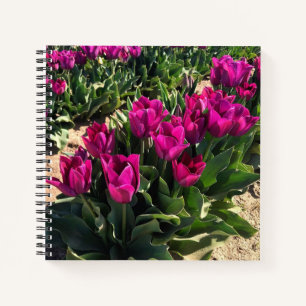 Schöne Tulips Notizbuch