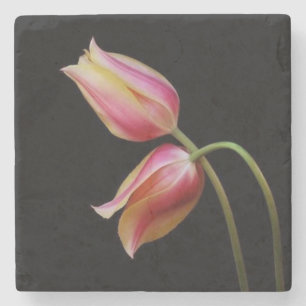 Schöne Tulips Steinuntersetzer