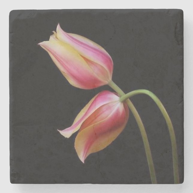Schöne Tulips Steinuntersetzer (Vorderseite)