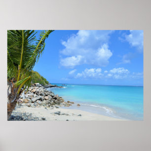 Schöne türkisfarbene tropische Strand Poster